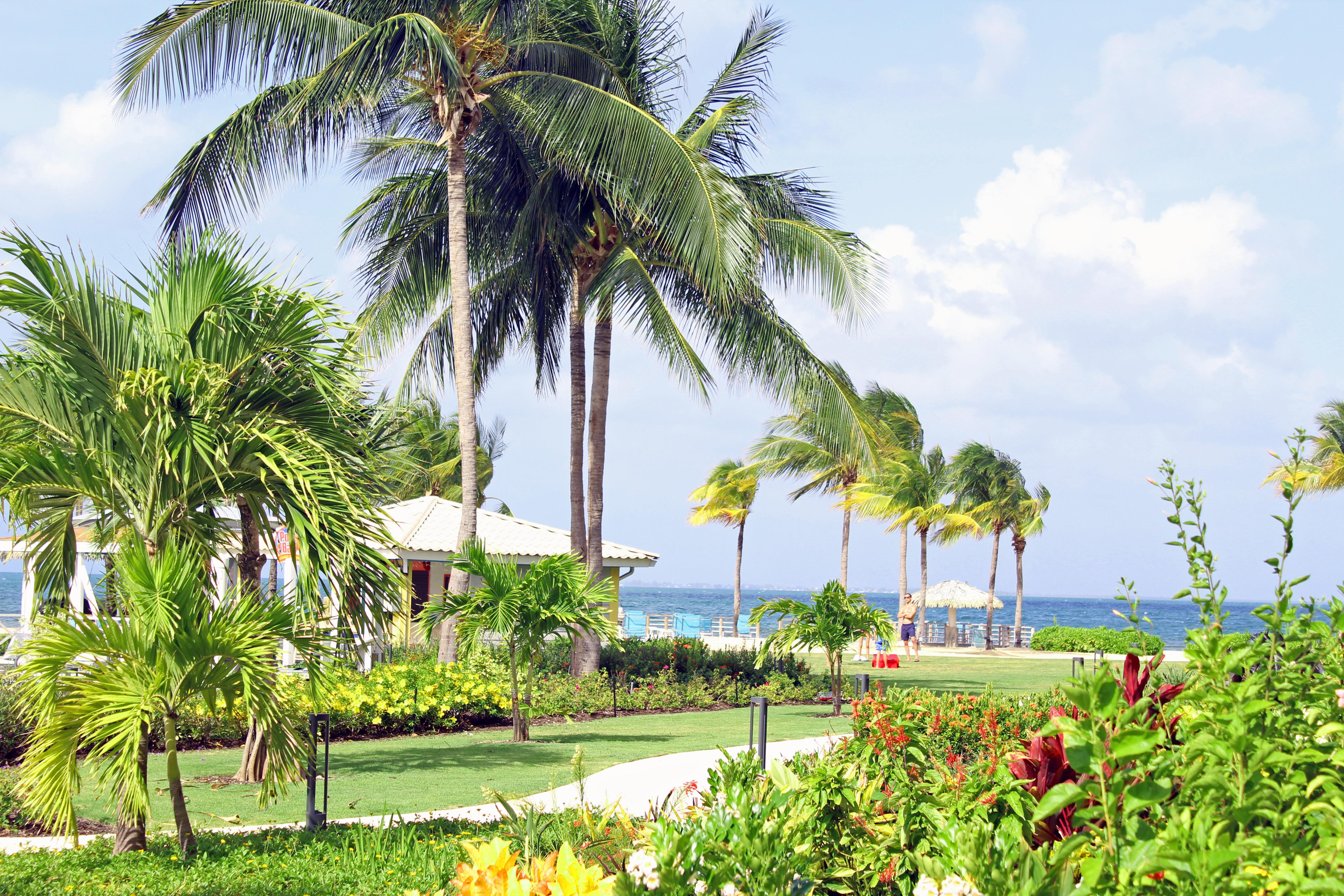 The Grand Caymanian Resort George Town Kültér fotó
