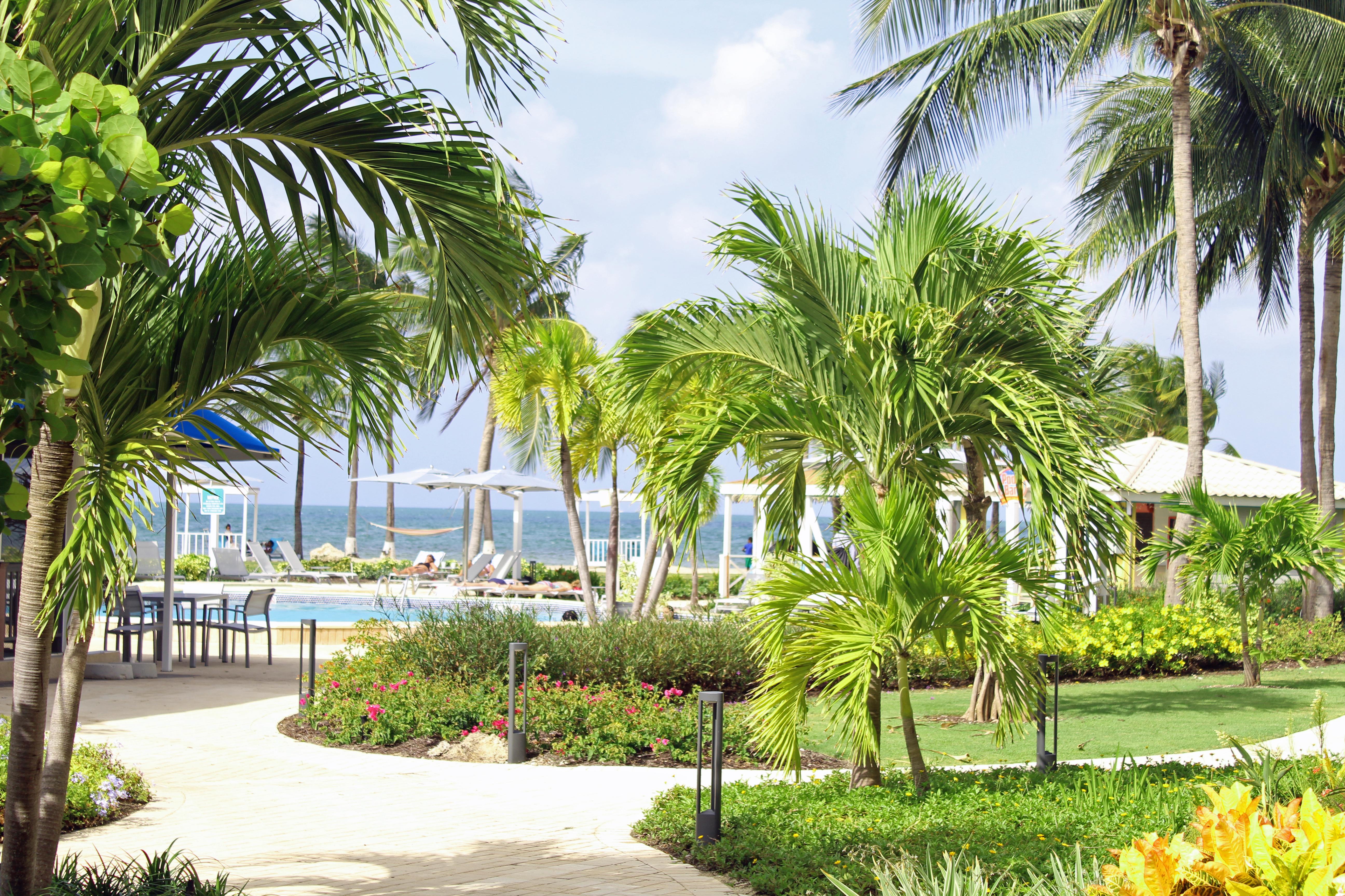 The Grand Caymanian Resort George Town Kültér fotó
